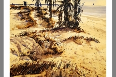 1_Dunas-en-la-Llana