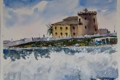 2025-2-23-La-Torre-de-la-Horadada-20-x-20-3-copia