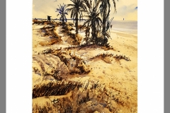 Dunas-en-la-Llana