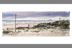 Dunas-playa-de-las-HIGUERICAS-Torre-de-la-Horadada2