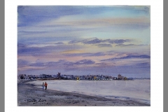 Paseo-por-las-Higuericas-Torre-de-la-Horadada