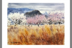 2_Almendros