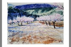 Almendros-La-Garapacha