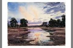 Anochecer-charco-1