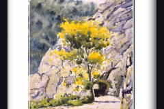 Camino-del-nacimiento-del-Guadalquivir.-Cazorla.-copia