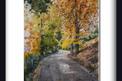 Camino-del-nacimiento-del-Segura.-Pontones-copia