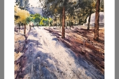 Camino-por-el-monte-en-la-creta-del-Gallo