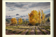 Campo-de-Bejar-otono-Moratalla-copia