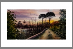 Churra-puesta-de-sol