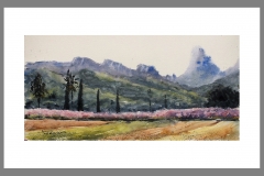 Cieza-5