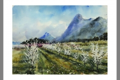 Cieza-6