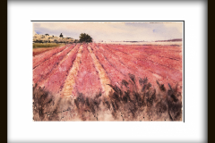 Cieza-frutales-en-floracion2-copia