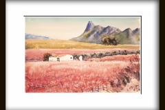 Cieza-frutales-en-floracion3-copia