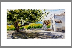 Cieza-frutales-en-otoño-2-2