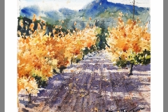Cieza-otoño-frutales