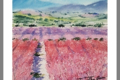 Cieza-primavera-frutales