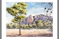 Cresta-del-Gallo