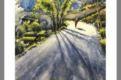 De-camino-a-la-Luz