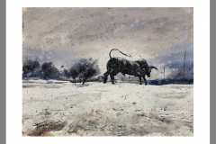 El-toro-nevado-Torre-de-la-Horadada