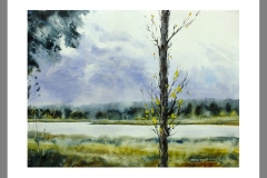 Laguna-Conceja-Ruidera