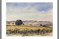 Mancha-020