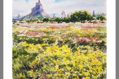 Monteagudo-primavera