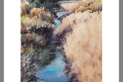 Mota-del-río-2