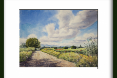 Mota-del-rio-Segura-primavera