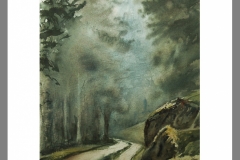Neblina-en-el-bosque