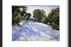 Nieve-una-buena-nevada-copia