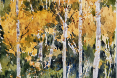 Paisaje-102