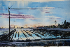 Paisaje-105