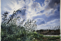 Paisaje-109