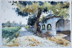 Paisaje-111