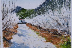 Paisaje-112