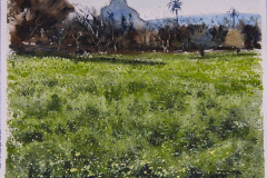 Paisaje-118