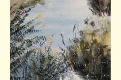 Paisaje-126