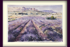 Paisaje-134