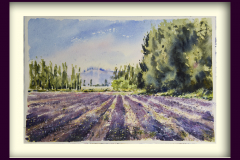 Paisaje-135