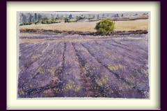 Paisaje-136