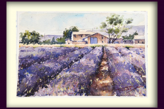 Paisaje-137