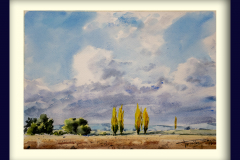 Paisaje-145
