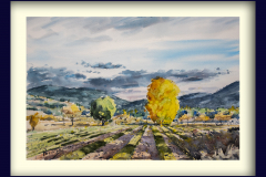 Paisaje-146