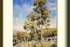 Paisaje-153