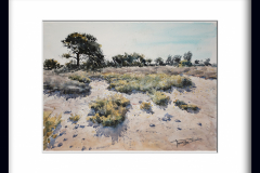 Paisaje-154