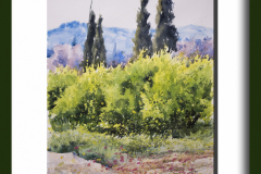 Paisaje-157