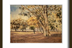 Paisaje-164