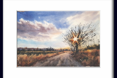 Paisaje-169