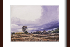 Paisaje-175