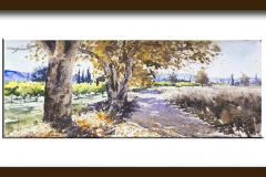 Paisaje-188